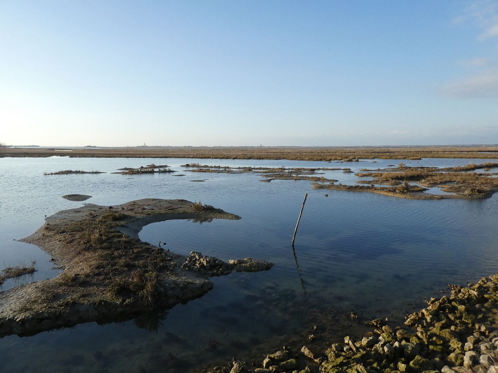 A salt marsh in the northern lagoon near Lio Piccolo, with low tufts of vegetation, shallow water and a flat horizon in winter light