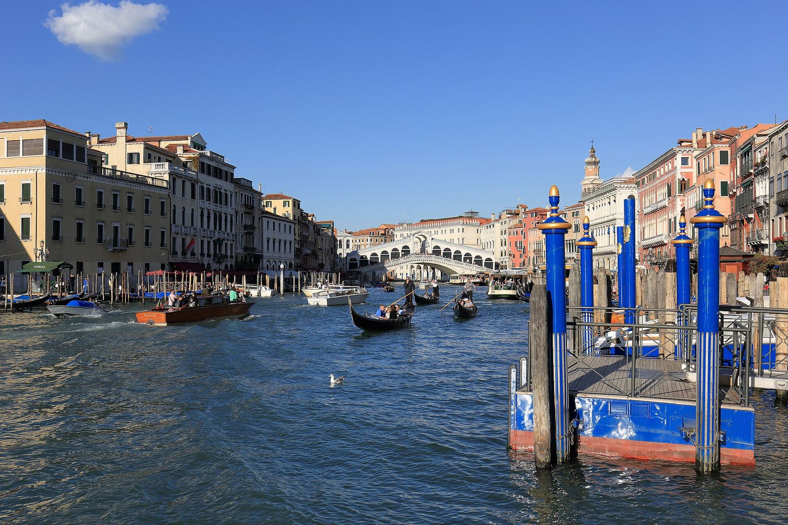 The Rialto Bridge spanning the Grand Canal, with gondolas on the water